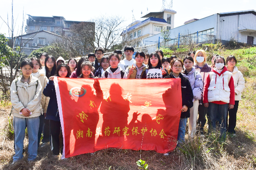图片5