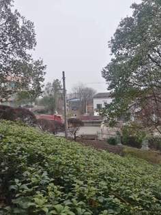 南门1清理后 南门1清理后