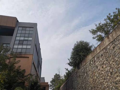 美术清理后 美术清理后