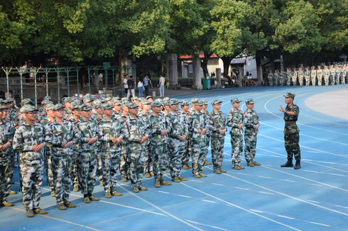 图片9 图片9