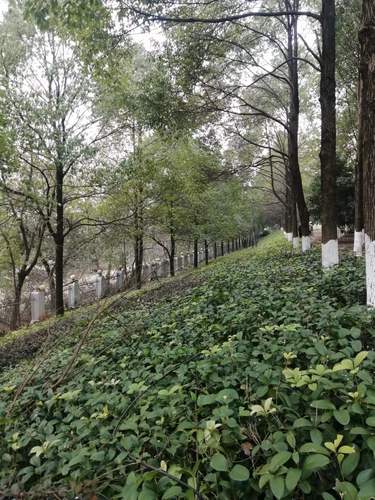 南门2清理后 南门2清理后