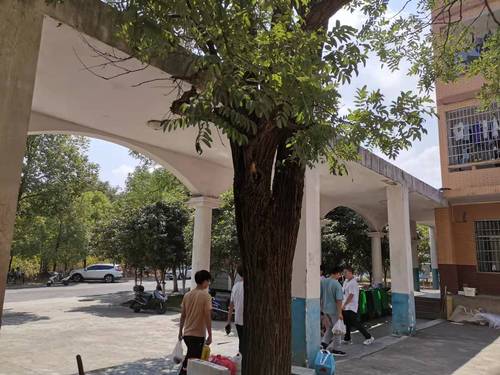 松四松五清理后 松四松五清理后