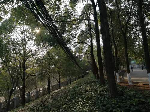 南门2清理前 南门2清理前