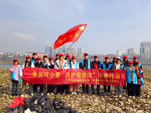 图片5 图片5