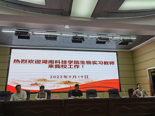 图片11