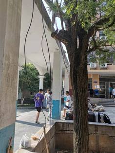 松四松五清理前 松四松五清理前